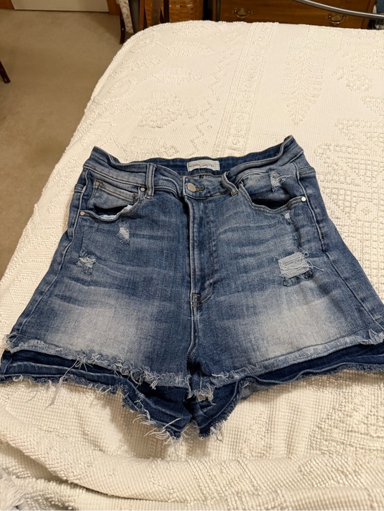 Risen Los Angeles Pants - Risen jeans shorts woman sz 1X